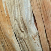 น้ำหอมทำสบู่ Wood