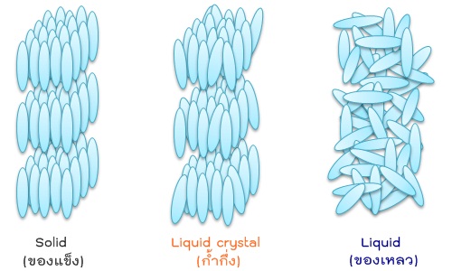 molecular direction