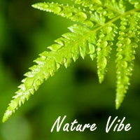 น้ำหอมทำสบู่ Nature Vibe