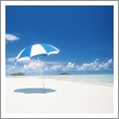 Summer Breeze Fragrance oil