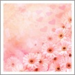 Sweet Musk Fragrance oil