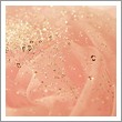 Luxury Fragrance Oil