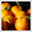 Orange Es.Oil