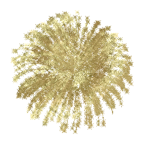 Firework
