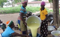 The Making of Shea Butter